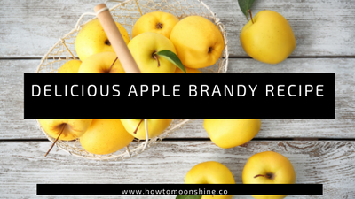 Amazing Apple Brandy Recipe