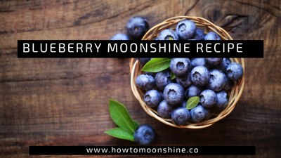 Blueberry Moonshine Recipe