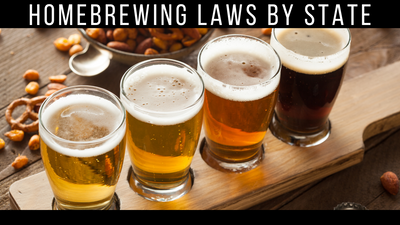 Homebrew Laws By State: Can I Make Beer?